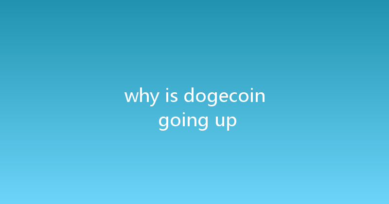 why is dogecoin going up 